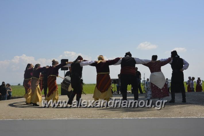 alexandriamou.gr_trikala28.5.2018036